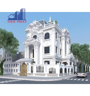 Mẫu biệt thự 01